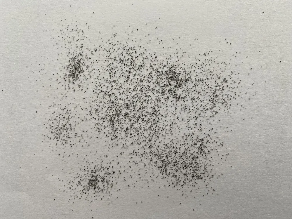 black-dtf-powder-granules