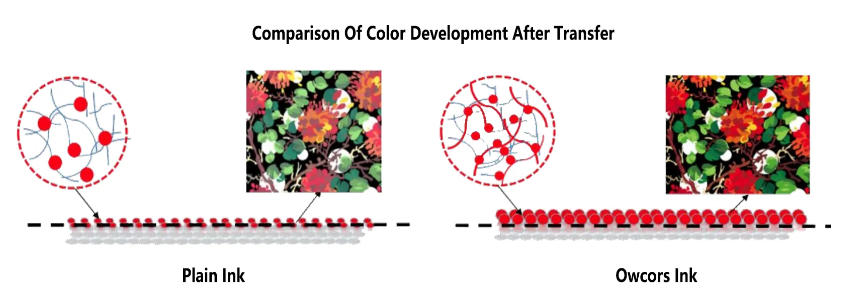comparison-of-color-development-after-transfer