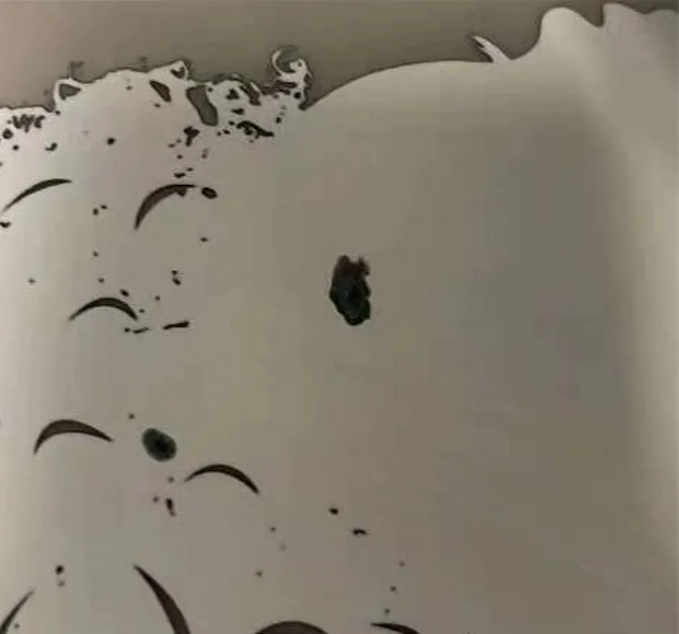 dtf-film-topical-color-ink-white-ink-mixing-2