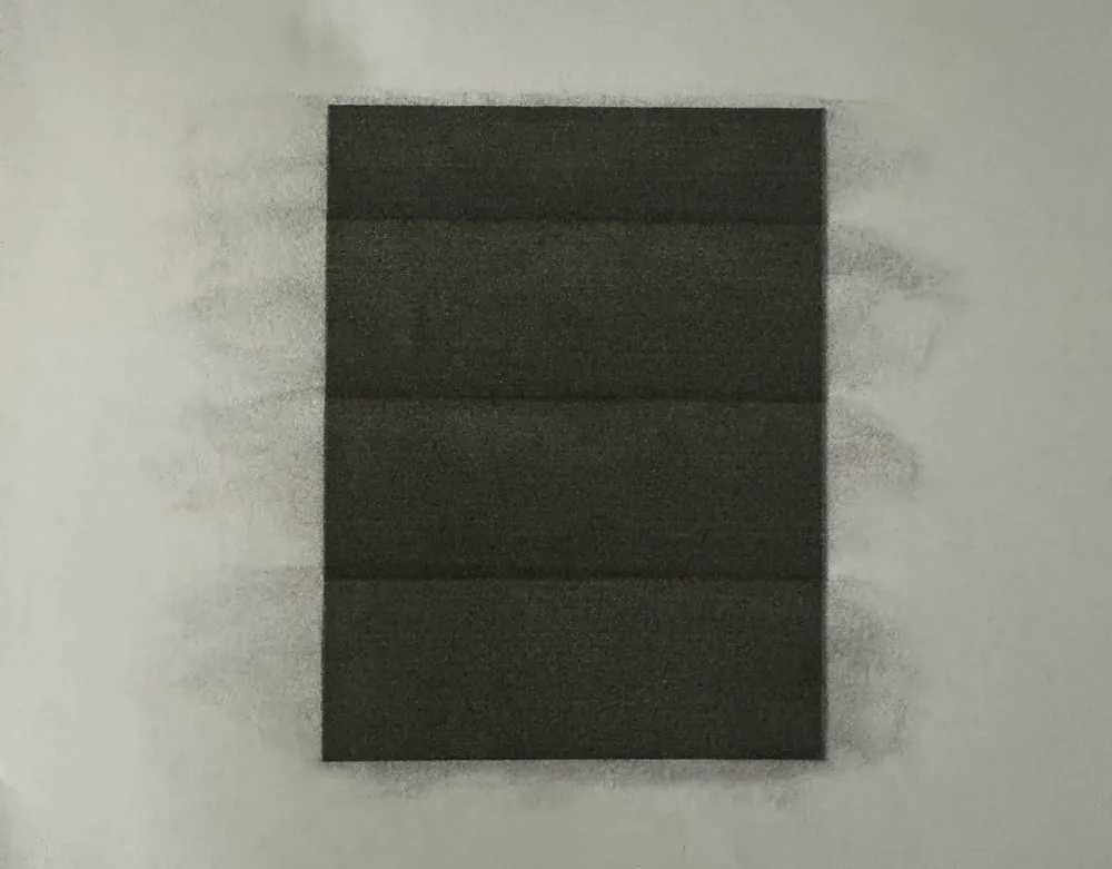 blurry stripes on black stripes